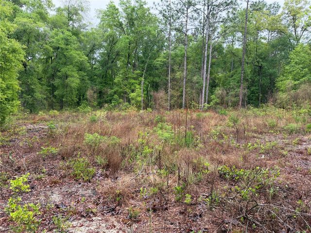 301 RAINBOW DRIVE, Hawthorne, FL 32640