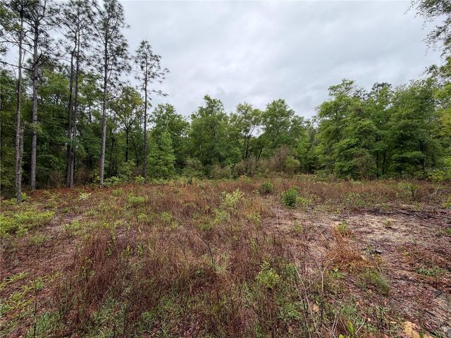 301 RAINBOW DRIVE, Hawthorne, FL 32640