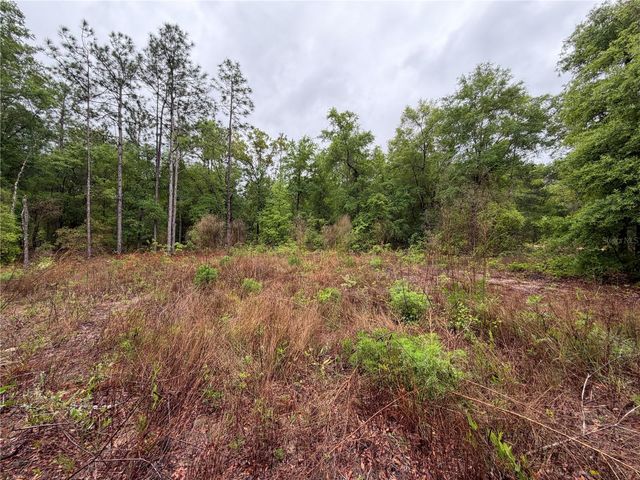 301 RAINBOW DRIVE, Hawthorne, FL 32640