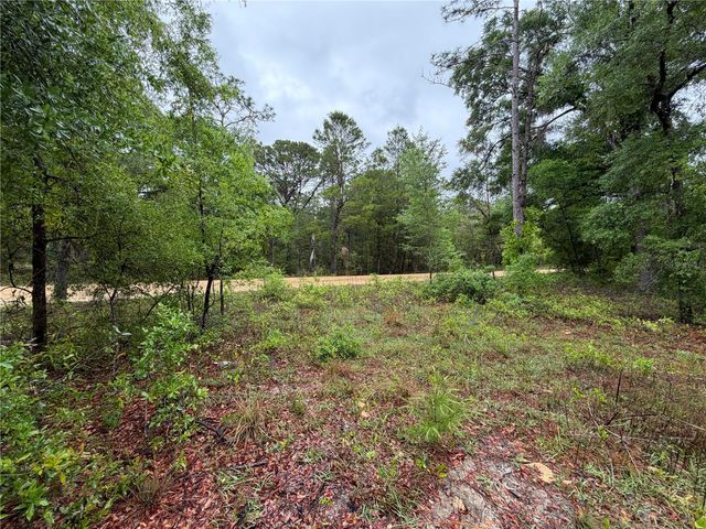 301 RAINBOW DRIVE, Hawthorne, FL 32640