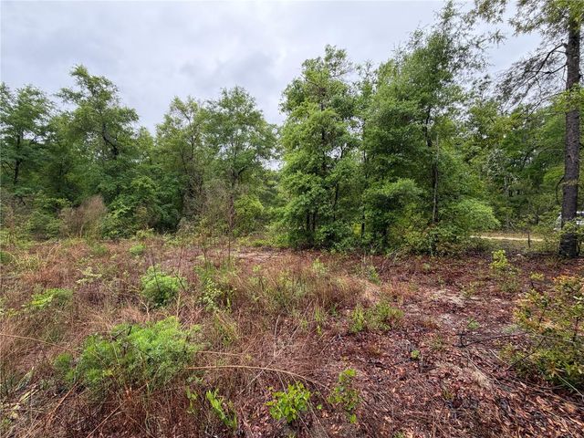 301 RAINBOW DRIVE, Hawthorne, FL 32640