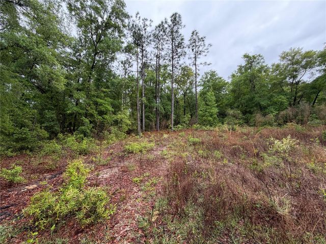 301 RAINBOW DRIVE, Hawthorne, FL 32640