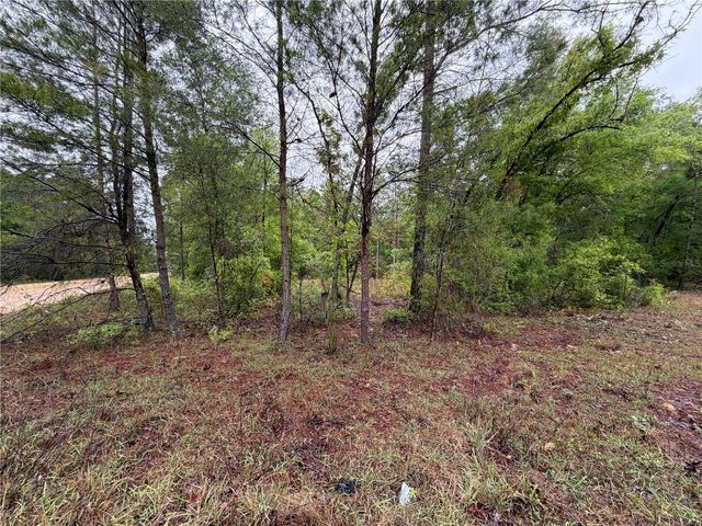 301 RAINBOW DRIVE, Hawthorne, FL 32640