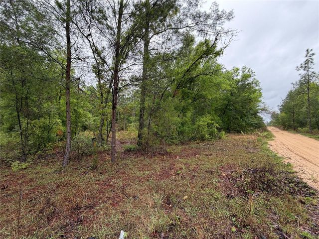 301 RAINBOW DRIVE, Hawthorne, FL 32640