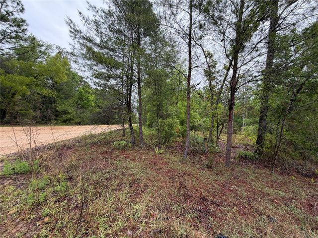 301 RAINBOW DRIVE, Hawthorne, FL 32640