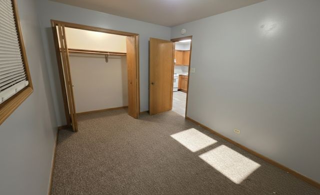 445 W 37th Street garden, Chicago, IL 60609