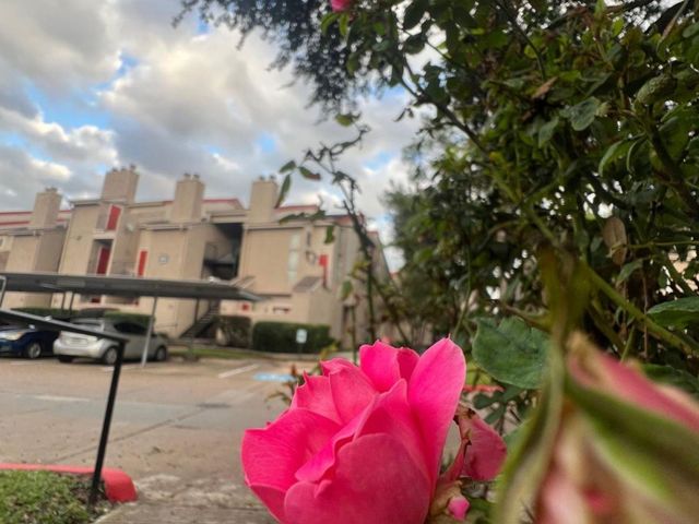 10855 Meadowglen Lane 903, Houston, TX 77042