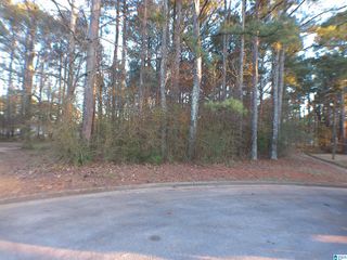 0 CARRIE COURT SW, Jacksonville, AL 36265