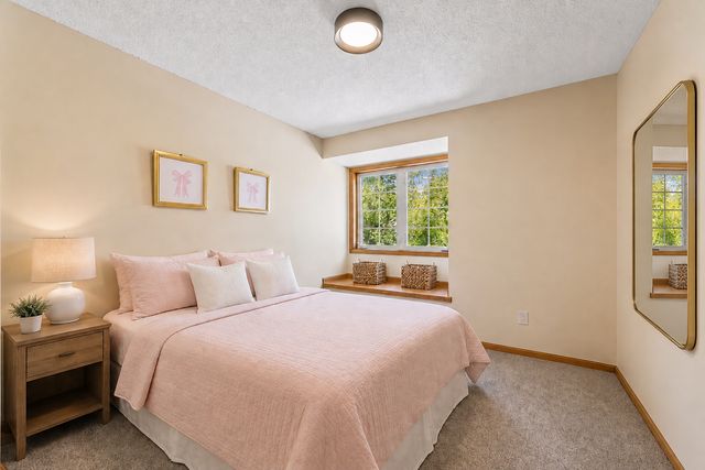 3951 Country Oaks Drive, Chanhassen, MN 55331