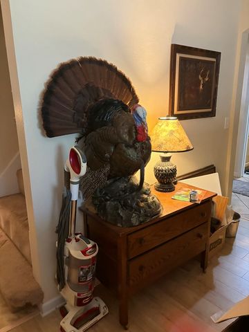 276 Wicksburg Rd, Newton, AL 36352