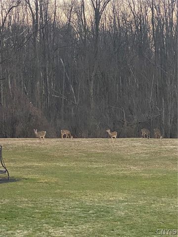 766-68 County Route 20, Oswego, NY 13126