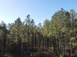 0 Callaway Rd., Rayle, GA 30660