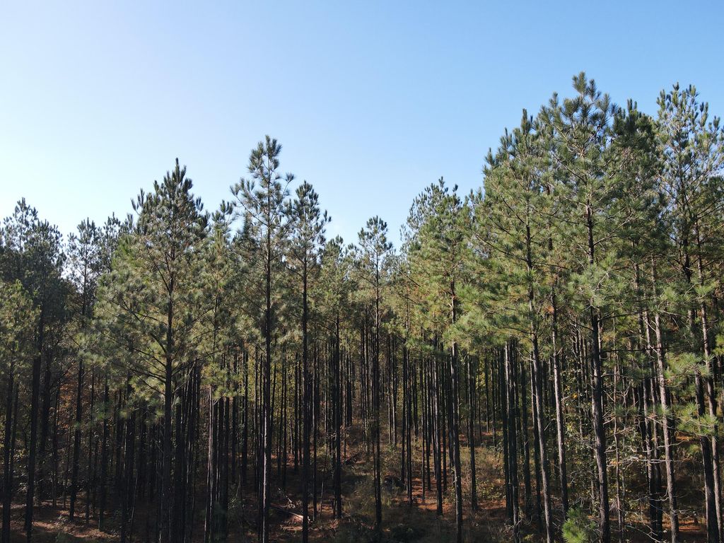0 Callaway Rd., Rayle, GA 30660