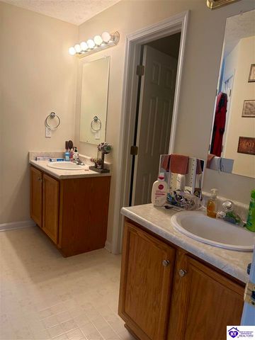 23 Shiloh Court, Rineyville, KY 40162