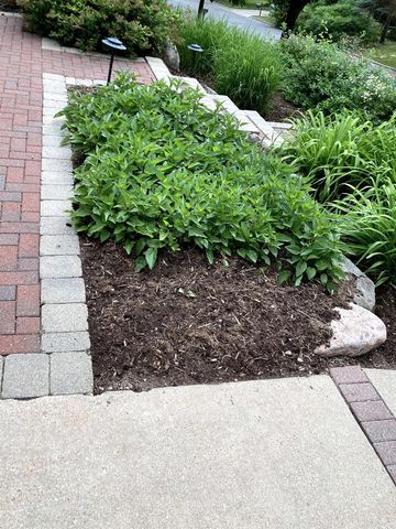 4521 Deerwood Drive, Madison, WI 53716