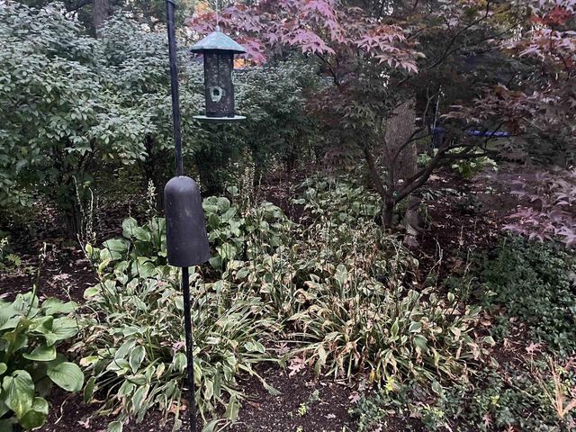 4521 Deerwood Drive, Madison, WI 53716