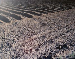 Mile 14 N N Mile 14 N Road, Donna, TX 78537