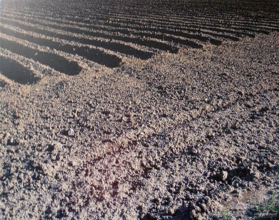 Mile 14 N N Mile 14 N Road, Donna, TX 78537