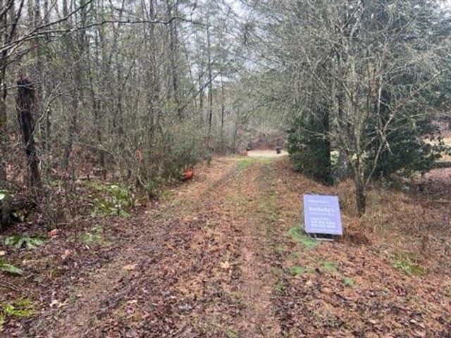 0000 Spring Street, Mineral Bluff, GA 30559