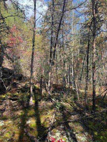 0000 Spring Street, Mineral Bluff, GA 30559