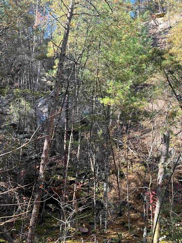 0000 Spring Street, Mineral Bluff, GA 30559