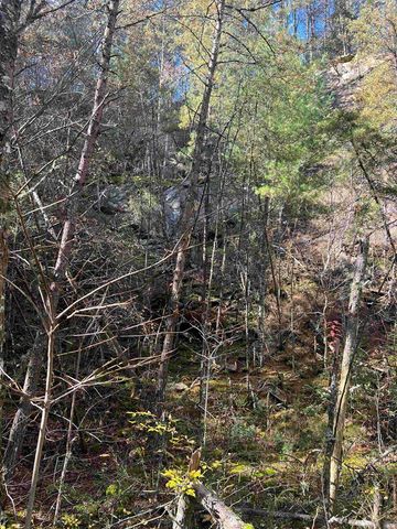 0000 Spring Street, Mineral Bluff, GA 30559