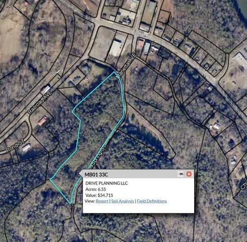 0000 Spring Street, Mineral Bluff, GA 30559