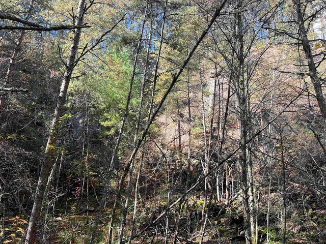 0000 Spring Street, Mineral Bluff, GA 30559