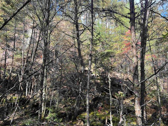 0000 Spring Street, Mineral Bluff, GA 30559