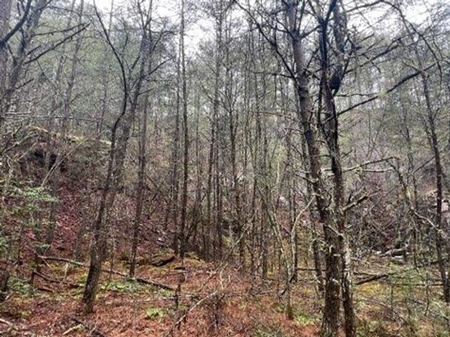 0000 Spring Street, Mineral Bluff, GA 30559