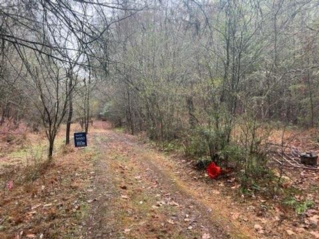 0000 Spring Street, Mineral Bluff, GA 30559