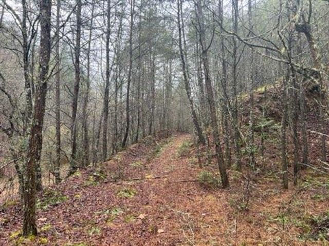 0000 Spring Street, Mineral Bluff, GA 30559