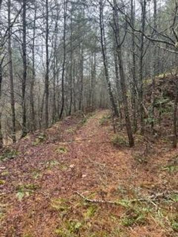 0000 Spring Street, Mineral Bluff, GA 30559