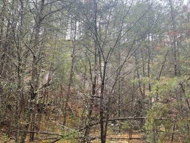 0000 Spring Street, Mineral Bluff, GA 30559