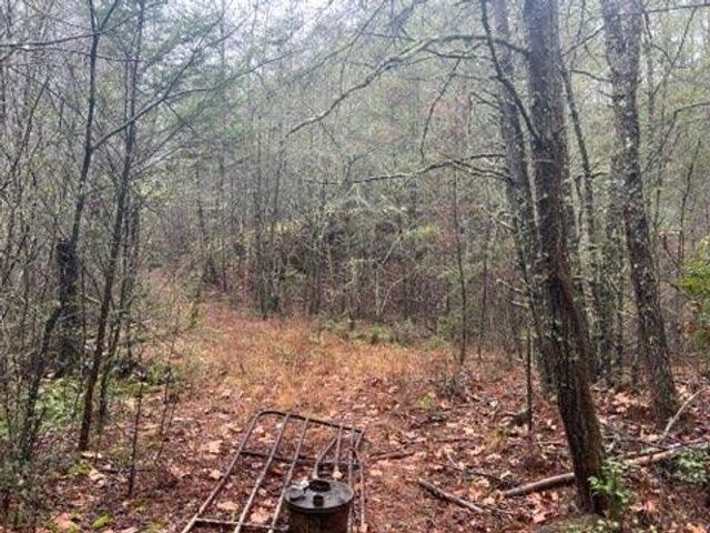 0000 Spring Street, Mineral Bluff, GA 30559