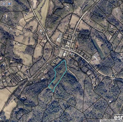 0000 Spring Street, Mineral Bluff, GA 30559