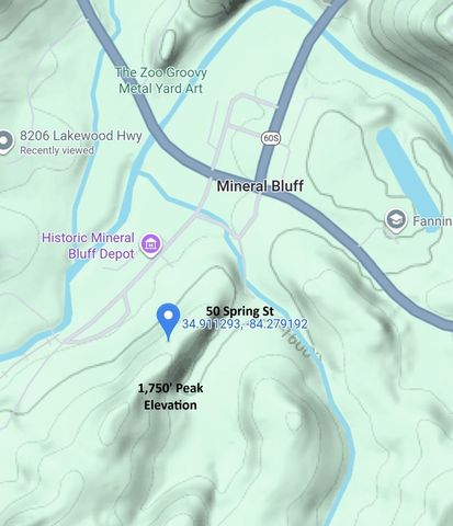 0000 Spring Street, Mineral Bluff, GA 30559