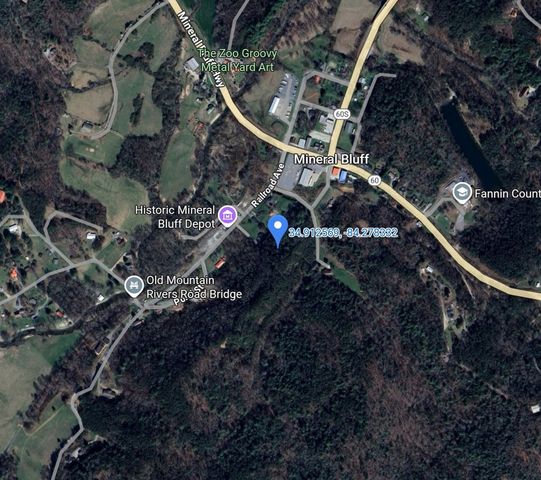 0000 Spring Street, Mineral Bluff, GA 30559