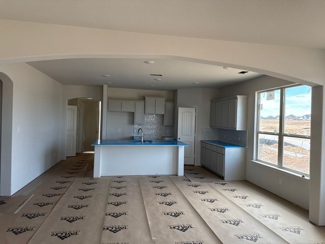 1221 Sabine River Lane, Springtown, TX 76082