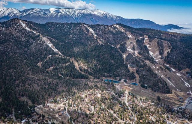 1772 Columbine Drive, Big Bear City, CA 92314