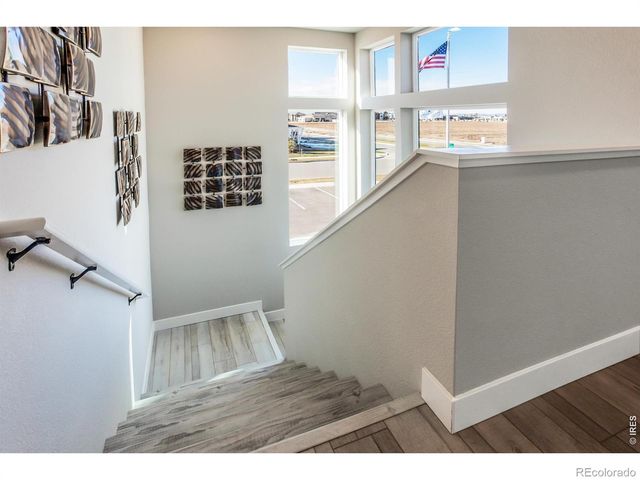 6111 Dutch Drive, Timnath, CO 80547