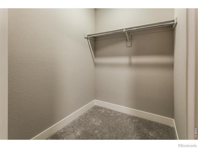 6111 Dutch Drive, Timnath, CO 80547