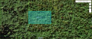 COMMONWEALTH AVE N, Polk City, FL 33868
