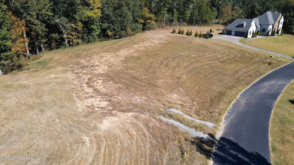 5665 Ginners Lane, Hernando, MS 38632 — photo 4