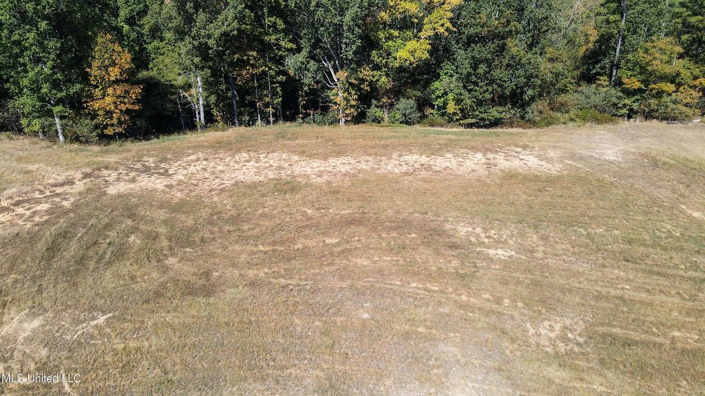 5665 Ginners Lane, Hernando, MS 38632 — photo 5