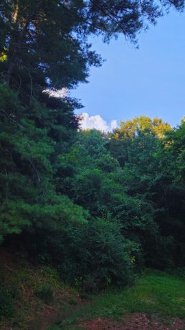 1080 Veterans Rd, E, Ashland City, TN 37015