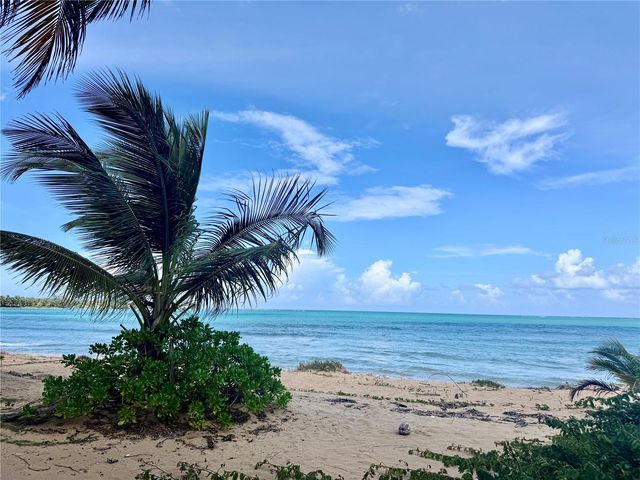 2903 URB. OCEAN FOREST 3, Rio Grande, PR 00745