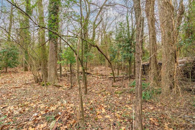 413 Whittington Avenue, Hot Springs, AR 71901