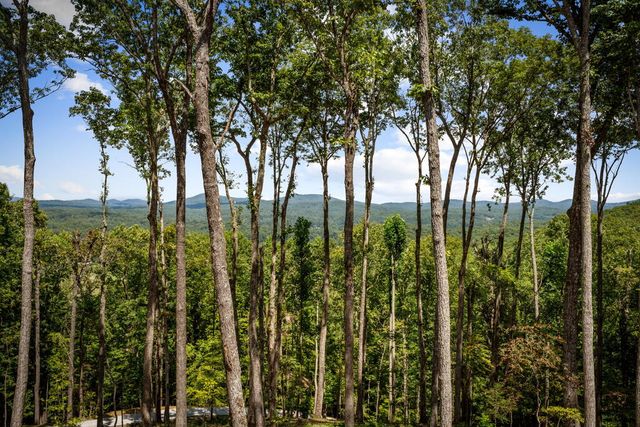 210 Hemptown Overlook, Morganton, GA 30513