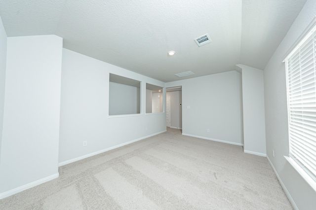 13336 Burbot Drive, Conroe, TX 77384